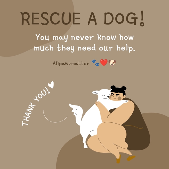 Deal Of The Day: Moving Sale! Excepting offers!!! - Picture 5 of 5